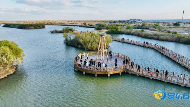 体和心态 体和心态