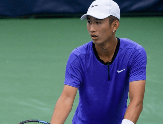 共性成功因 共性成功因